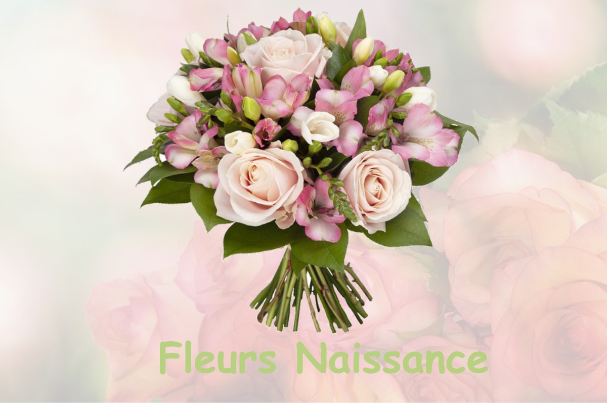 fleurs naissance VARS-SUR-ROSEIX